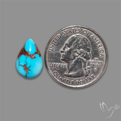 Rare Egyptian Turquoise Cabochon from Sinai Peninsula