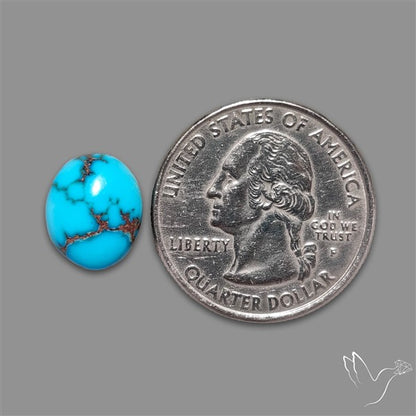 Rare Egyptian Turquoise Cabochon from Sinai Peninsula