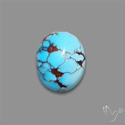 Rare Egyptian Turquoise Cabochon from Sinai Peninsula