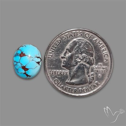 Rare Egyptian Turquoise Cabochon from Sinai Peninsula