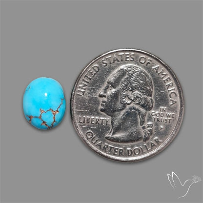 Rare Egyptian Turquoise Cabochon from Sinai Peninsula