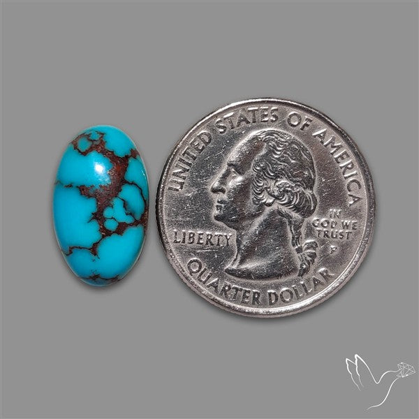 Rare Egyptian Turquoise Cabochon from Sinai Peninsula