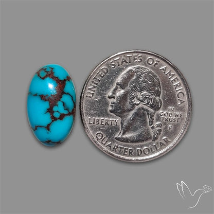 Rare Egyptian Turquoise Cabochon from Sinai Peninsula