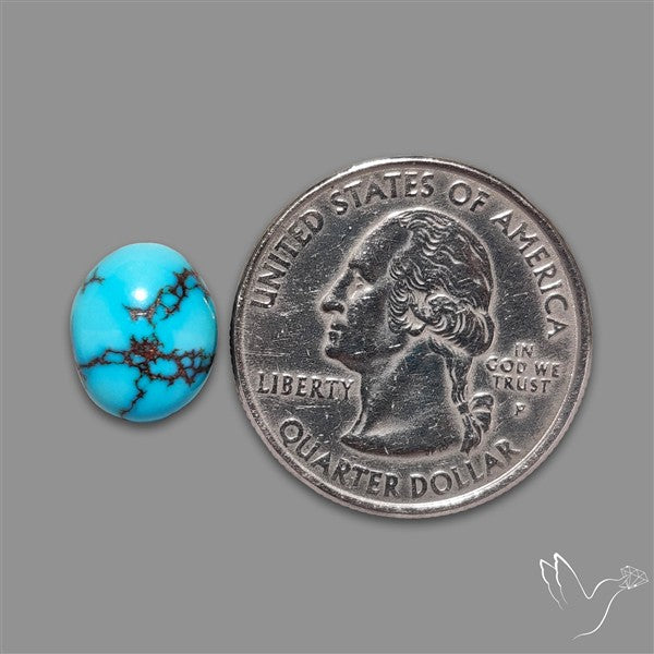 Rare Egyptian Turquoise Cabochon from Sinai Peninsula