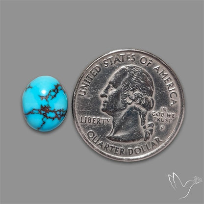 Rare Egyptian Turquoise Cabochon from Sinai Peninsula