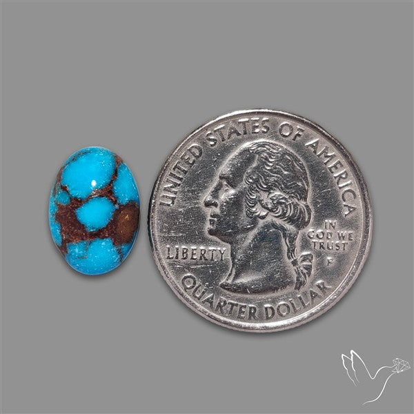 Rare Egyptian Turquoise Cabochon from Sinai Peninsula