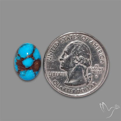 Rare Egyptian Turquoise Cabochon from Sinai Peninsula