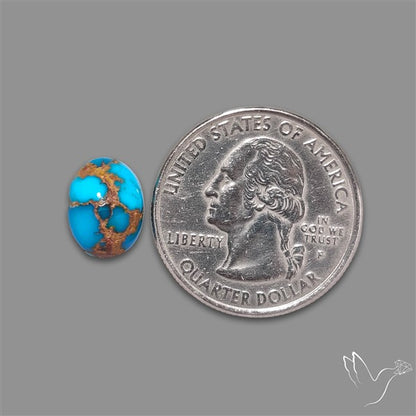 Rare Egyptian Turquoise Cabochon from Sinai Peninsula