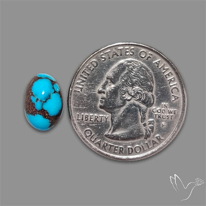 Rare Egyptian Turquoise Cabochon from Sinai Peninsula