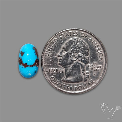 Rare Egyptian Turquoise Cabochon from Sinai Peninsula