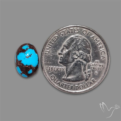 Rare Egyptian Turquoise Cabochon from Sinai Peninsula