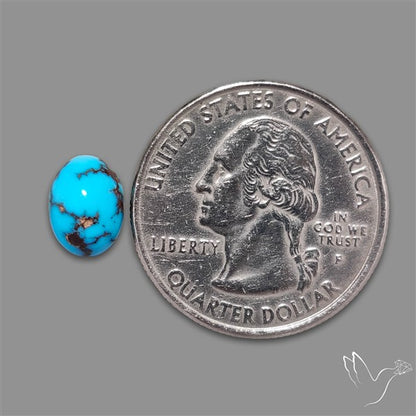 Rare Egyptian Turquoise Cabochon from Sinai Peninsula