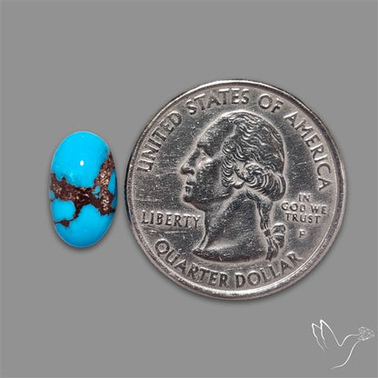 Rare Egyptian Turquoise Cabochon from Sinai Peninsula