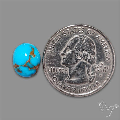 Rare Egyptian Turquoise Cabochon from Sinai Peninsula