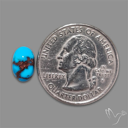 Rare Egyptian Turquoise Cabochon from Sinai Peninsula