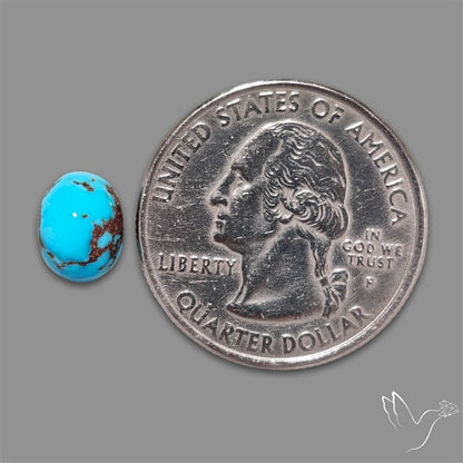 Rare Egyptian Turquoise Cabochon from Sinai Peninsula