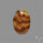 Suture Aonite Fossil Cabochon rare natural patterns