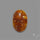 Suture Aonite Fossil Cabochon rare natural patterns