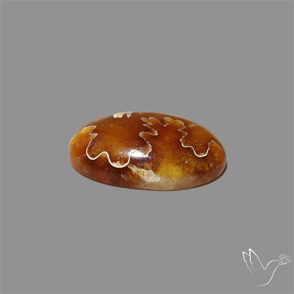 Suture Aonite Fossil Cabochon rare natural patterns