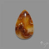 Suture Aonite Fossil Cabochon rare natural patterns