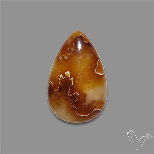 Suture Aonite Fossil Cabochon rare natural patterns