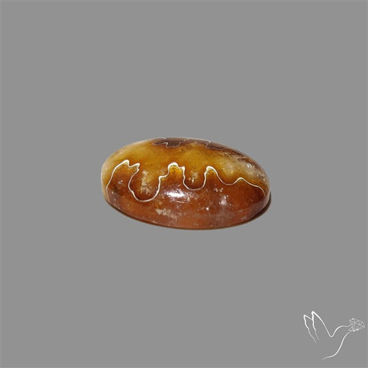 Suture Ammonite Fossil Cabochon rare natural patterns