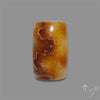 Suture Aonite Fossil Cabochon rare natural patterns