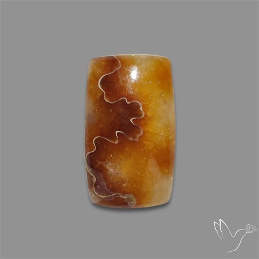 Suture Aonite Fossil Cabochon rare natural patterns