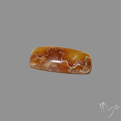 Suture Aonite Fossil Cabochon rare natural patterns