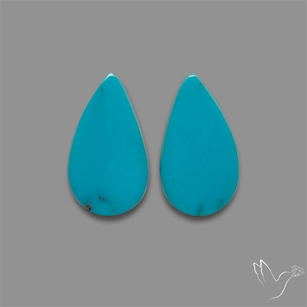 Sleeping Beauty Turquoise Pair