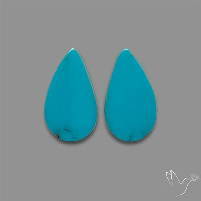 Sleeping Beauty Turquoise Pair