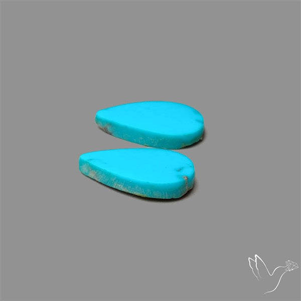 Sleeping Beauty Turquoise Pair