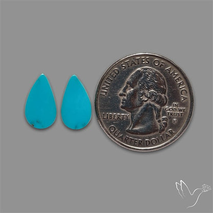 Sleeping Beauty Turquoise Pair