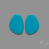 Sleeping Beauty Turquoise Pair