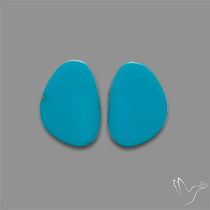 Sleeping Beauty Turquoise Pair