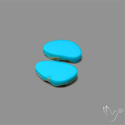 Sleeping Beauty Turquoise Pair