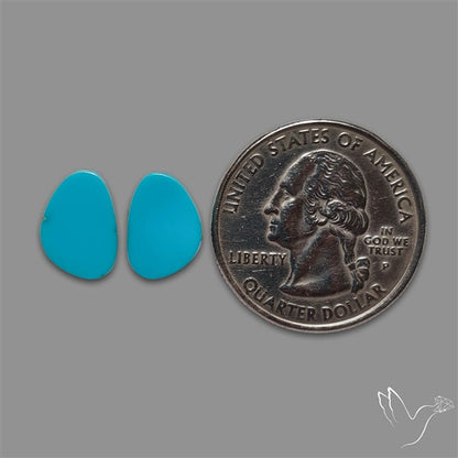 Sleeping Beauty Turquoise Pair