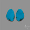 Sleeping Beauty Turquoise Pair