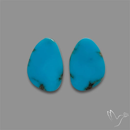 Sleeping Beauty Turquoise Pair