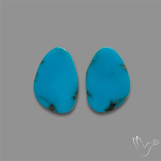 Sleeping Beauty Turquoise Pair