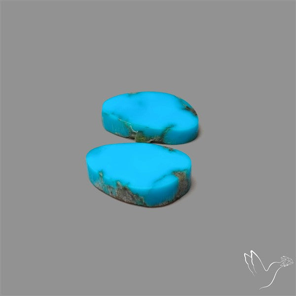 Sleeping Beauty Turquoise Pair