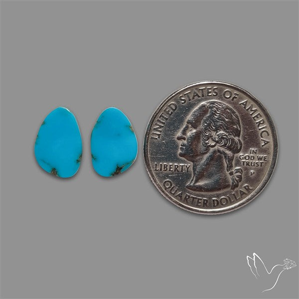 Sleeping Beauty Turquoise Pair