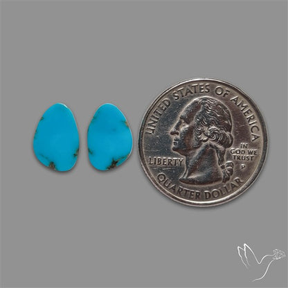 Sleeping Beauty Turquoise Pair