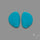 Sleeping Beauty Turquoise Pair