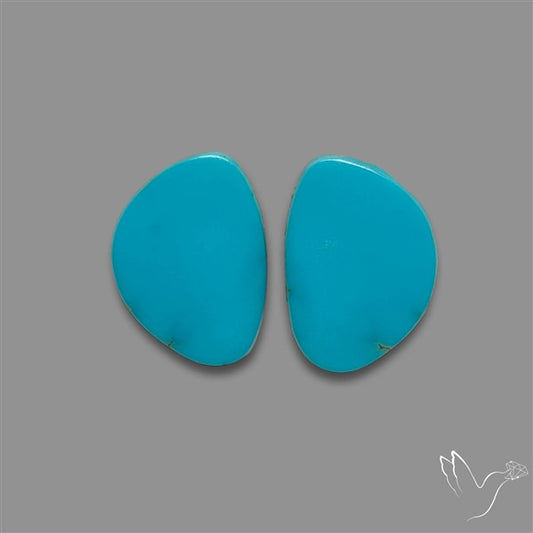 Sleeping Beauty Turquoise Pair