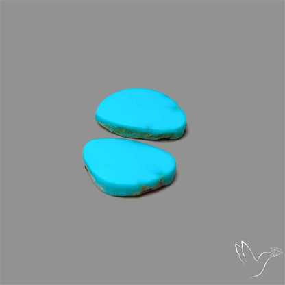 Sleeping Beauty Turquoise Pair