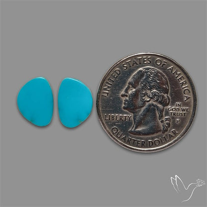 Sleeping Beauty Turquoise Pair