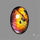 Bi-color Finland Spectrolite Cabochon