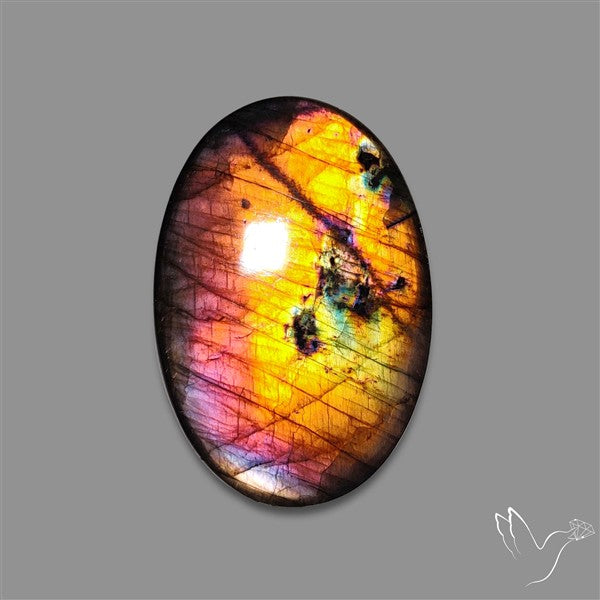 Bi-color Finland Spectrolite Cabochon