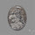 Stingray Black Fossil Coral Cabochon